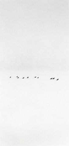 Ten Birds in Snowstorm, Wakoto, Hokkaido, Japan, 2002