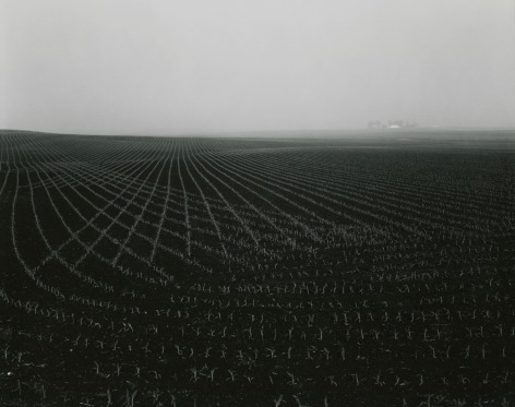 Untitled, from Illinois Landscapes, 1980, gelatin silver contact print, 8 x 10 inches