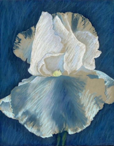Iris with Soft Pastel #1