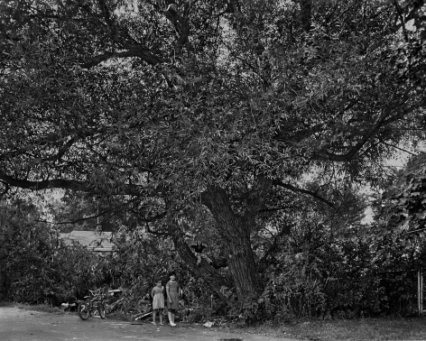 Children Playing in a Willow Tree, 1983-84