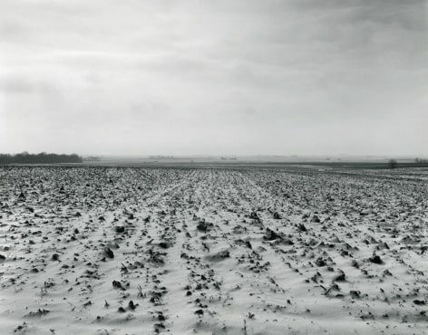 untitled, Illinois Landscape