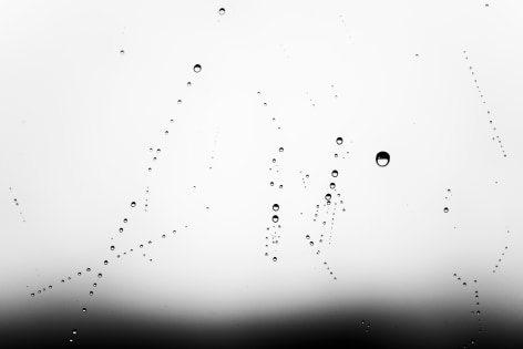 Analog v. Digital, Farras Abdelnour - &quot;Multiplicity&quot;, 2015