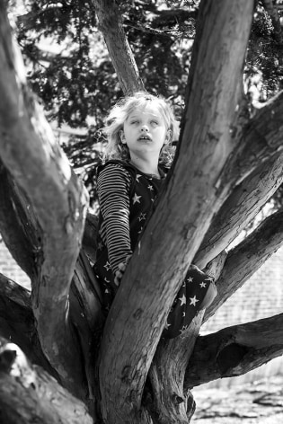 Exhibition Lab, Frank Mullaney - "Young Boy in a Tree", 2018