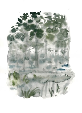 Szilard Huszank, IL A Nr1, 2013