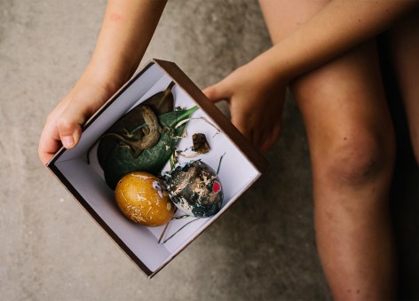 Elizabeth Clark Libert
