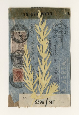 Groundcover #18: Uraguay to the United States, 1943