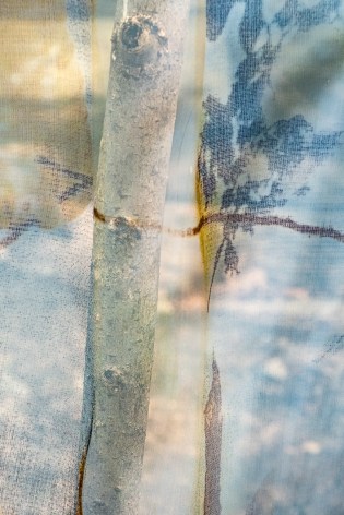 Barbara Ehlers, Tree and Leaves