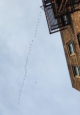 Amanda BernSohn, Flight paths, E. Flatbush, 2023