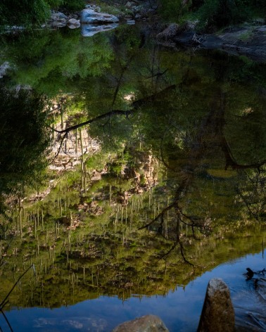 Dale Armstrong, At Risk