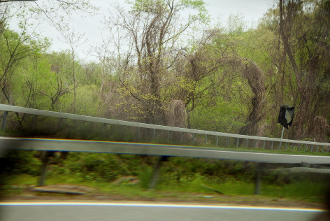 Exhibition Lab, Kerry Kolenut - Untitled 01 (from Rearview Series), 2018