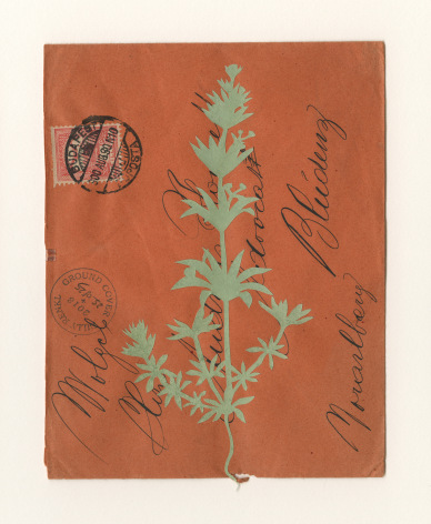 Groundcover #25: Hungary to Austria, 1900