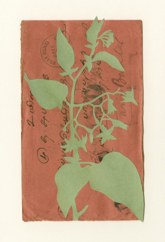 Groundcover #16: India, 1920