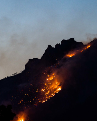 Dale Armstrong, Seeking the Past is Knowing the Future