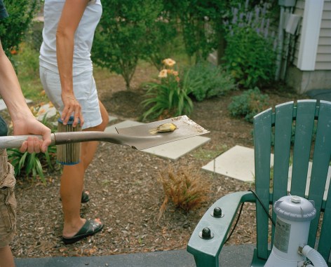 Alex Nelson, Dead Bird, Maine, 2009