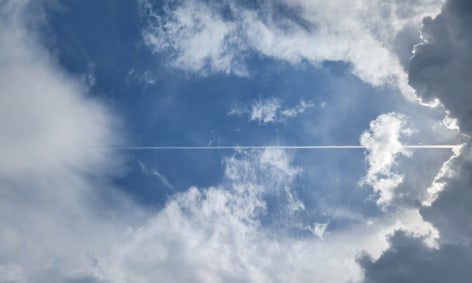 Amanda BernSohn, Untitled, 2022