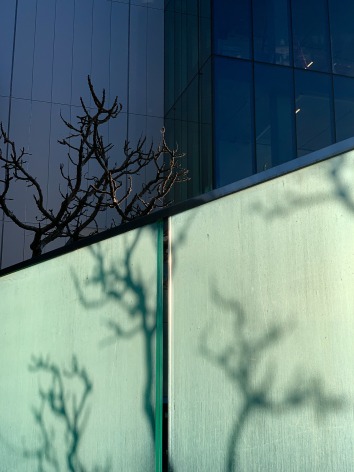 Jared Fortunato, March 15, 2020