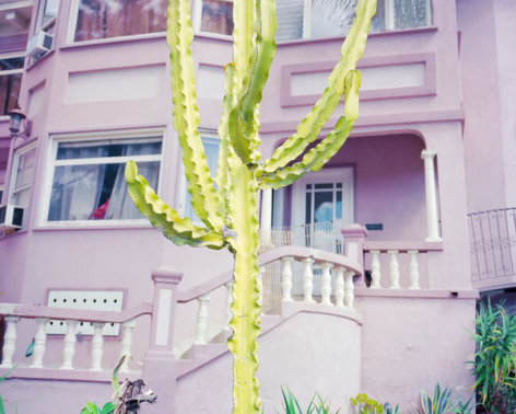 Gina Nero, Hoover Street, 2015