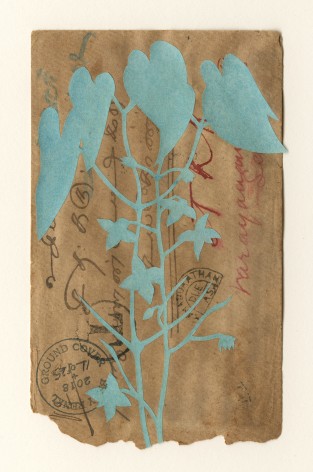 Groundcover #11: India to Singapore via Vietnam, 1903