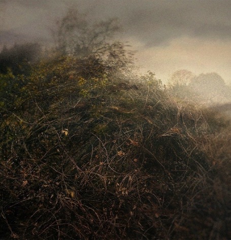 Diana Nicholette Jeon, and we&rsquo;re caught in the trade winds, 2022