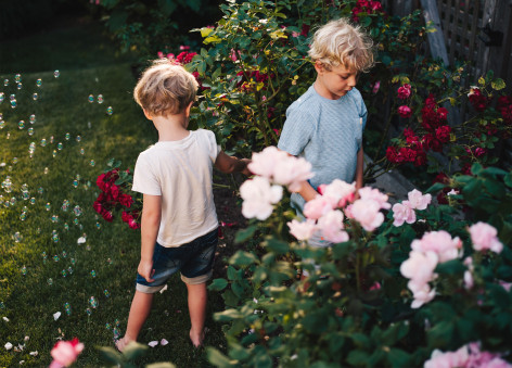 Elizabeth Clark Libert
