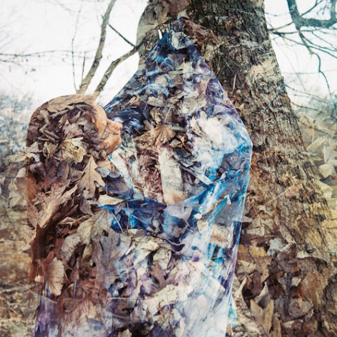 Gisella Sorrentino ,