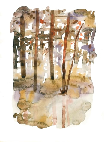 Szilard Huszank, IL A Nr17, 2013