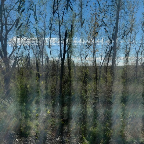 Claude De Backer, Whimpers and Screams #1, 2023