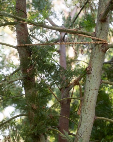 Matthew Finley, Bent., 2023