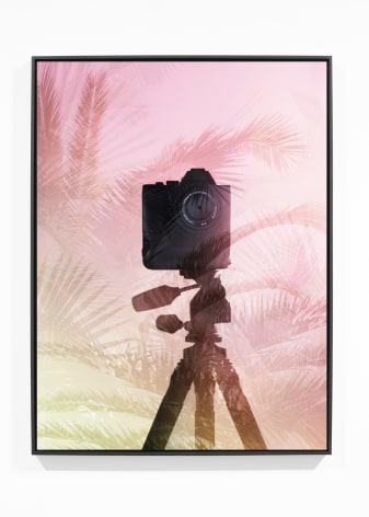 Joseph Desler Costa, F8 Tropical, 2017