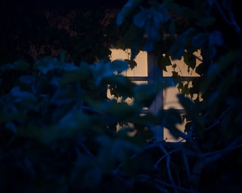 Matthew Finley, Night Garden., 2023