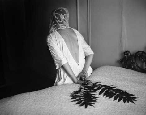 Jamie Isaia, GHETTO PALM, 2012