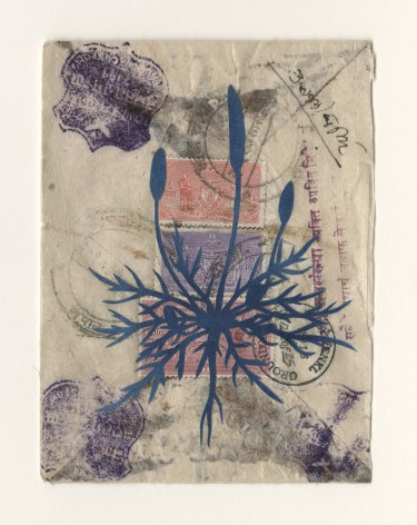 Groundcover #12: Nepal, 1960