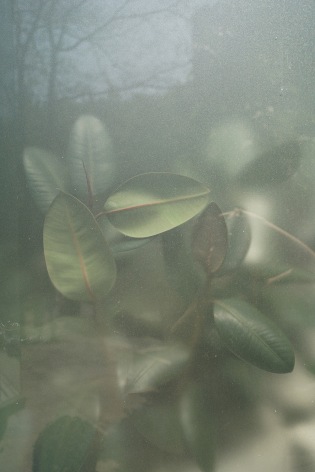 Amanda BernSohn, Untitled, 2023