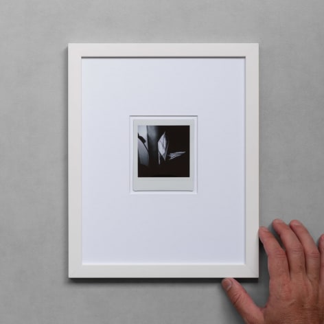 Example of Framing 01