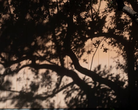 Matthew Finley, Wonderland., 2023