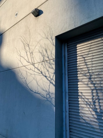 Jared Fortunato, March 25, 2020