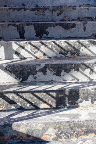 Jared Fortunato, May 13, 2020