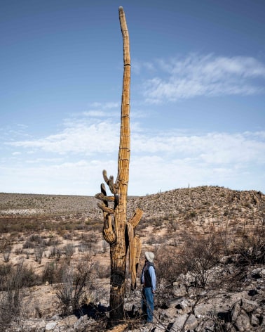 Dale Armstrong, Old Men