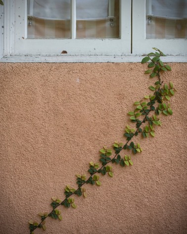 Matthew Finley, A knocking at the window., 2023