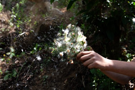 Mayita Mendez, The wish, 2023