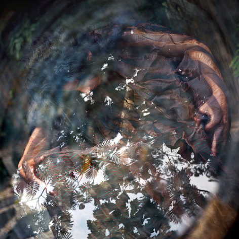 Gisella Sorrentino , 
