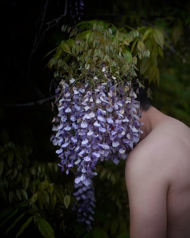 Matthew Finley, Blinded., 2023