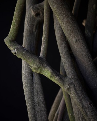 Matthew Finley, Right Angle., 2023