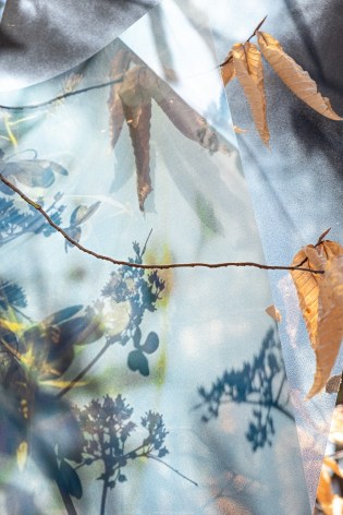 Barbara Ehlers, Leaves and Light