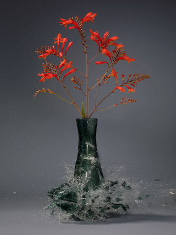 Martin Klimas, Crocosmia III, 2019