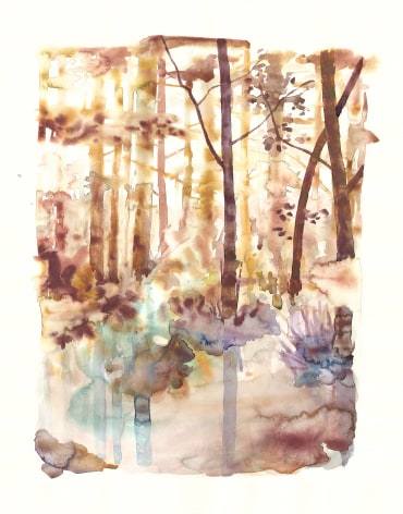 Szilard Huszank, IL A Nr29, 2013