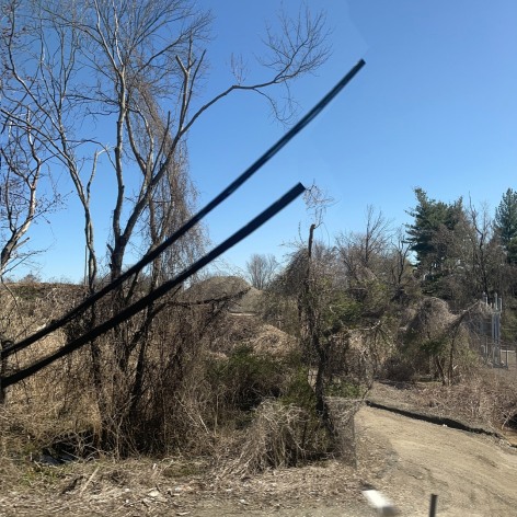 Claude De Backer, Whimpers and Screams #3, 2023