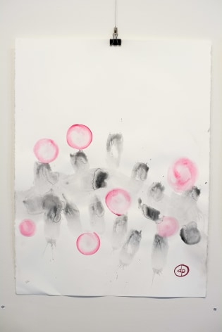 Dean Power Coolamon Trees In Byron Bay Landscape 003