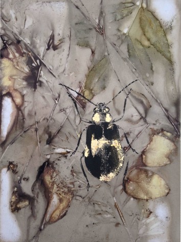 Anne Leon Bugs Plant-dyed paper with screen-print and gold leaf ​2016