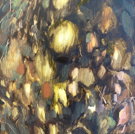 In Situ